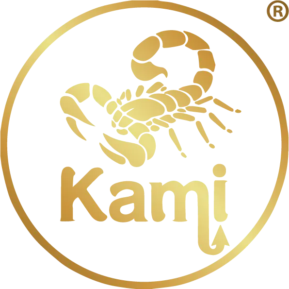 kami sushi